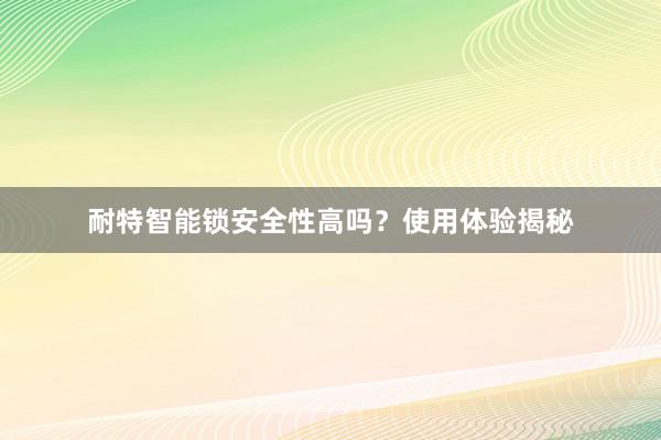 耐特智能锁安全性高吗？使用体验揭秘